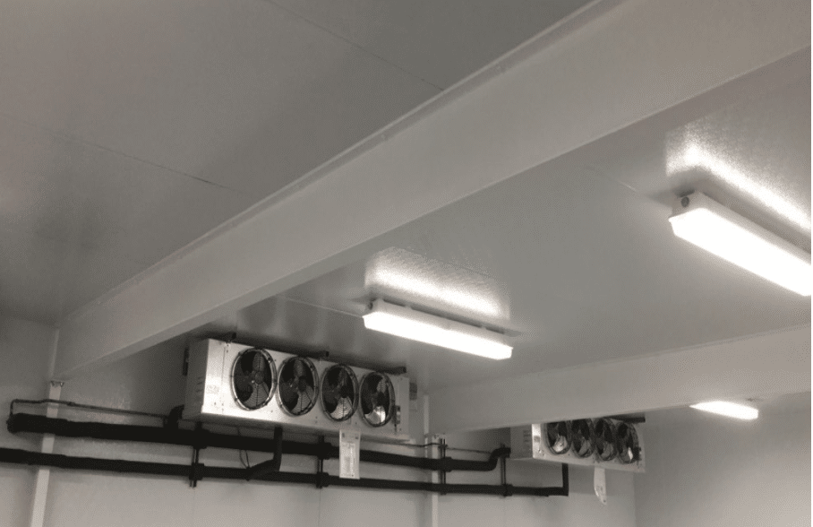 walk-in lighting options inside cooler or freezer