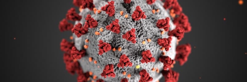 COVID-19 Virus Image