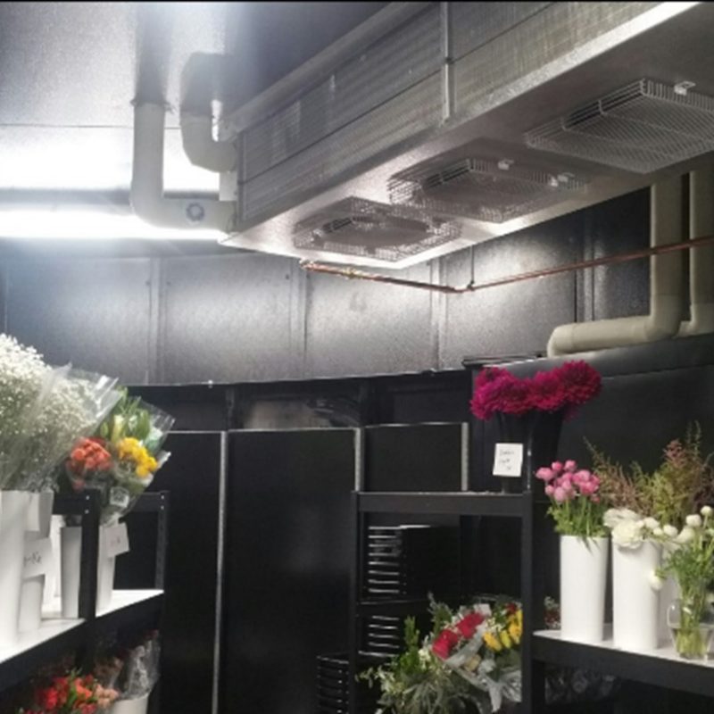 interior of a floral cooler with shelving holding a variety of floral arrangements